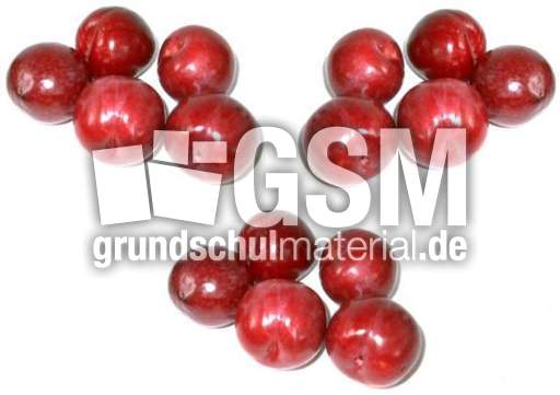 Pflaumen-3x5.jpg